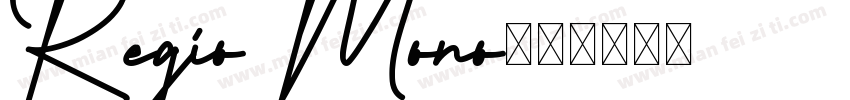 Regio Mono字体转换